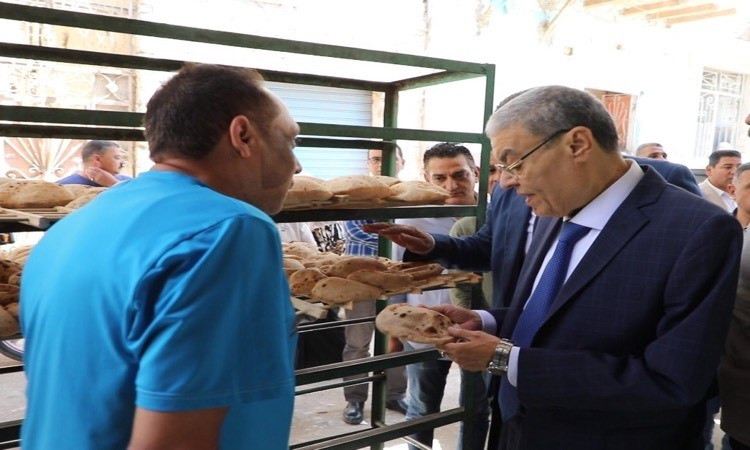 محافظ المنيا