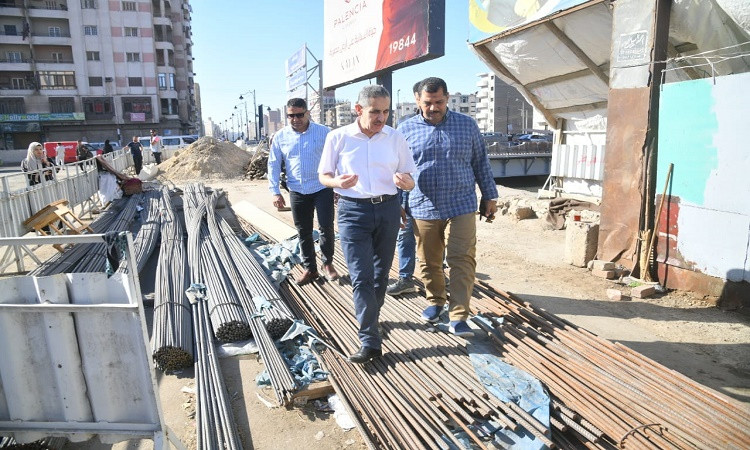 محافظ الغربية