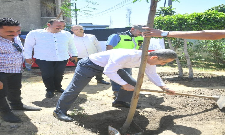 جولة محافظ الغربية