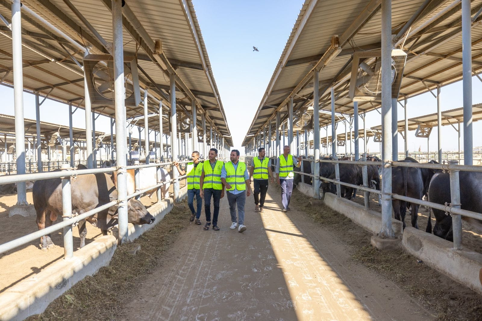 مبادرة أضاحي