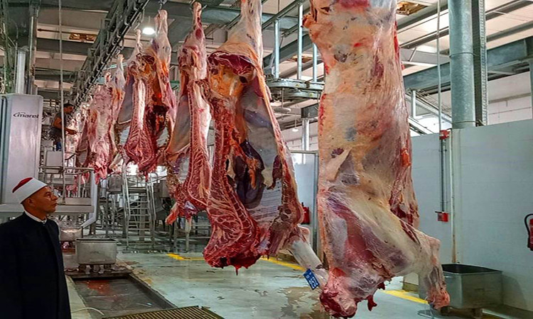 ذبح وتجهيز لحوم الأضاحي