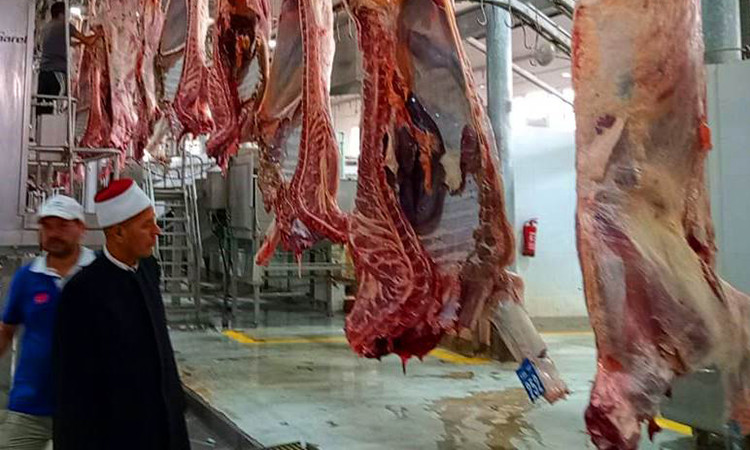 ذبح وتجهيز لحوم الأضاحي