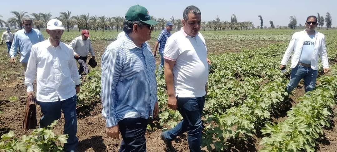 محطة الجميزة