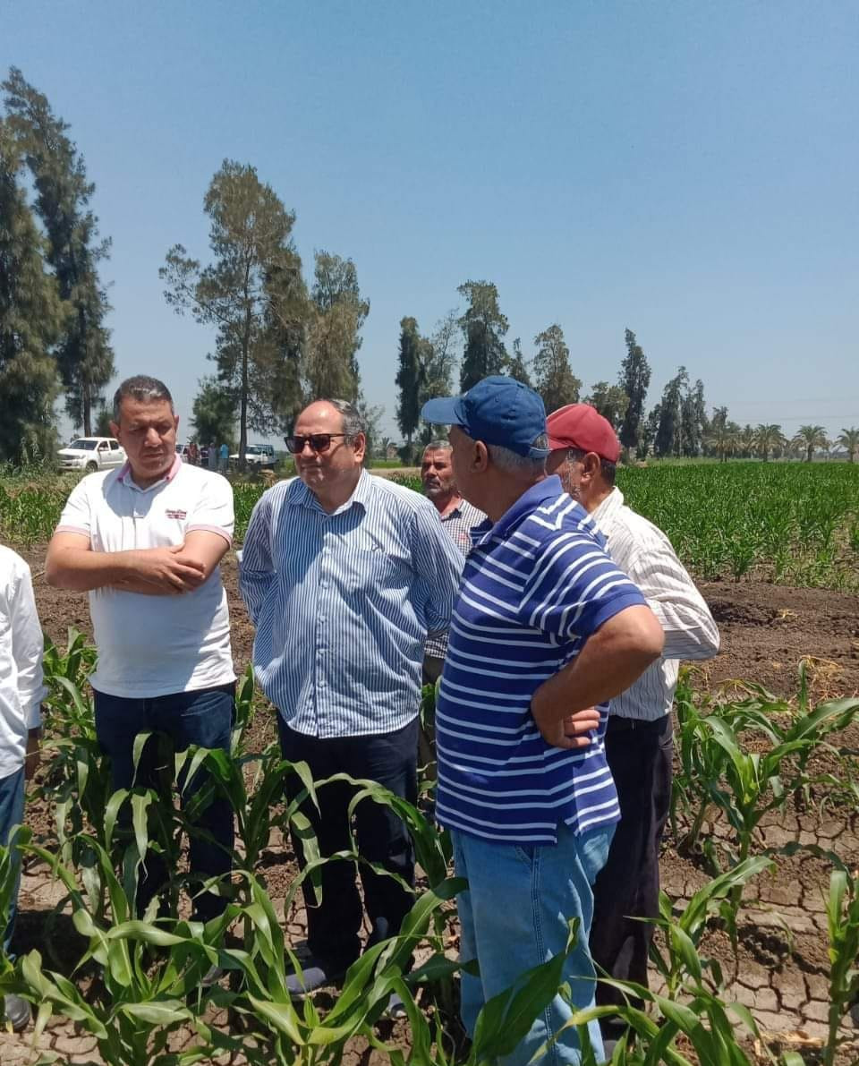 محطة الجميزة