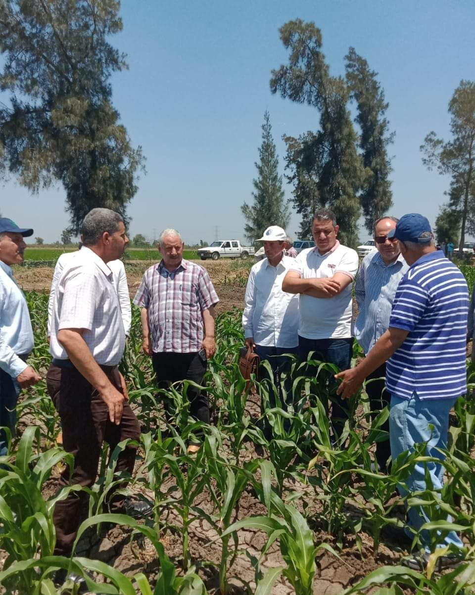 محطة الجميزة