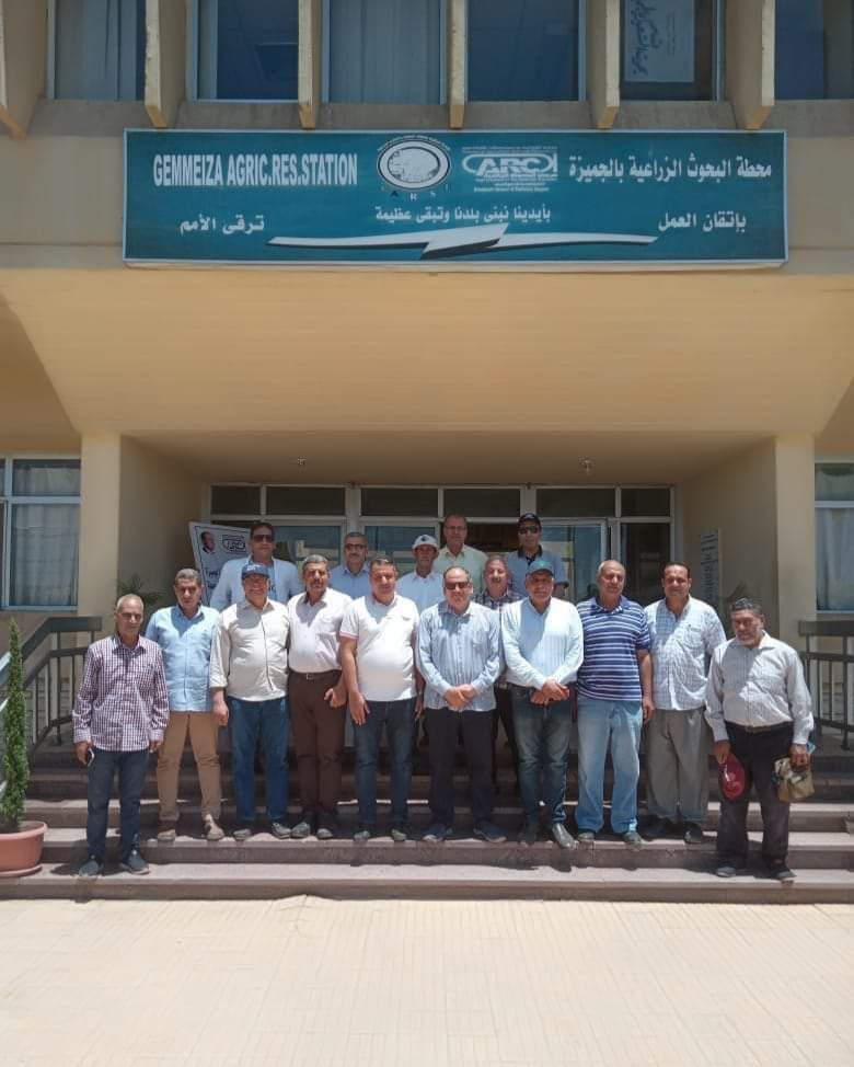 محطة الجميزة