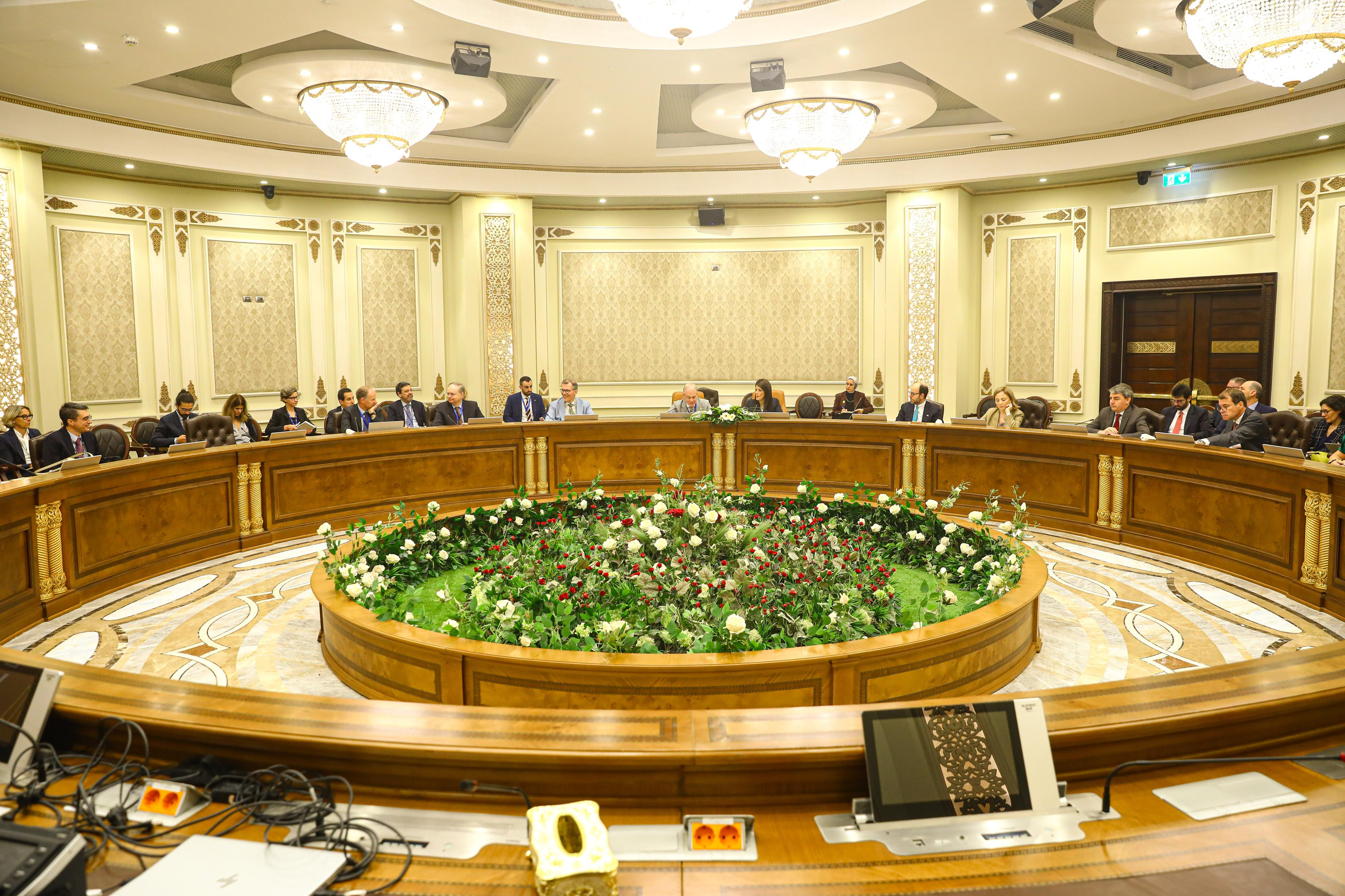 رانيا المشاط