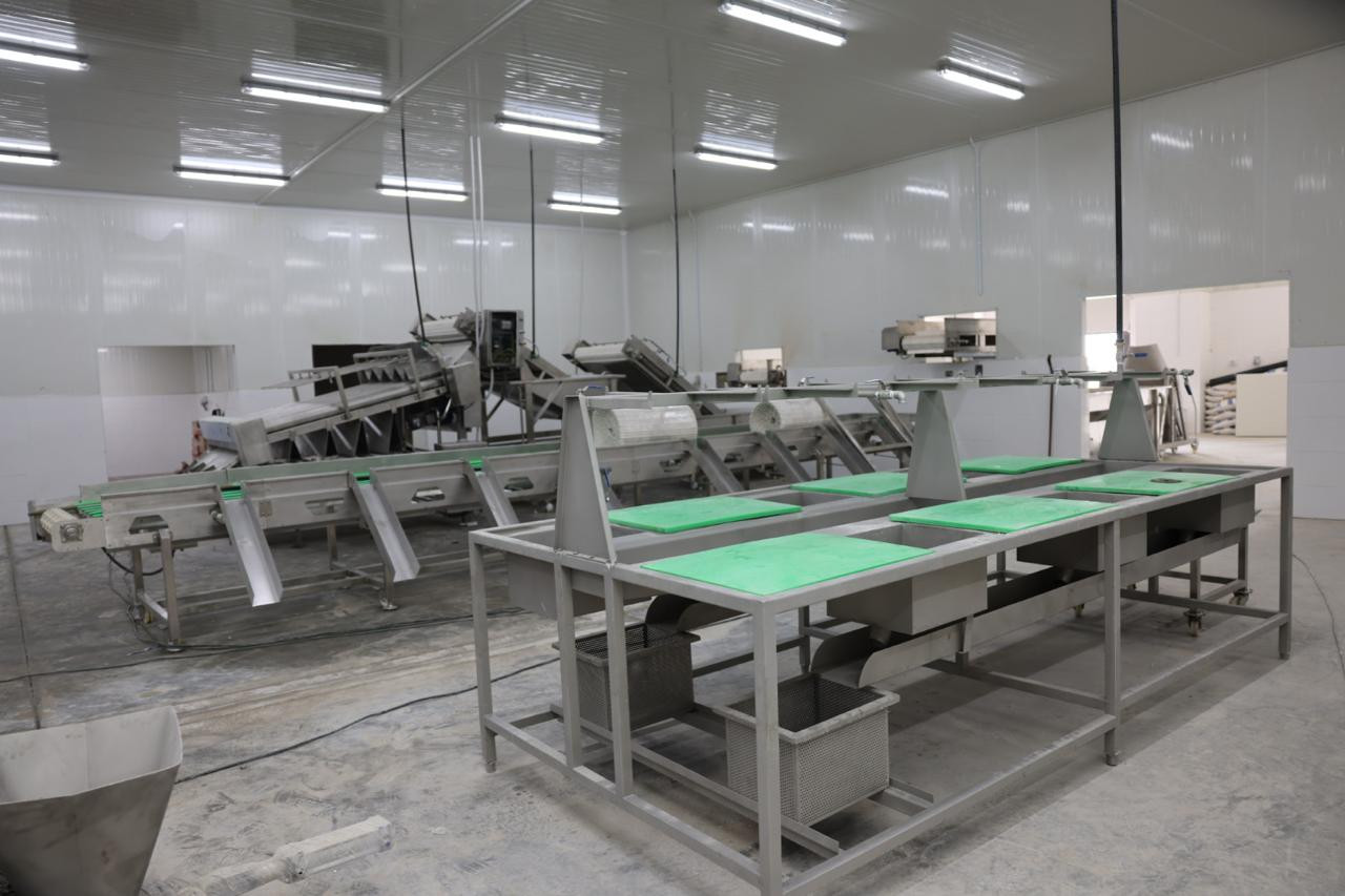 الفريق أسامة ربيع