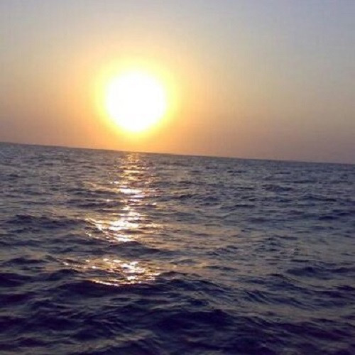 امراض الصيف