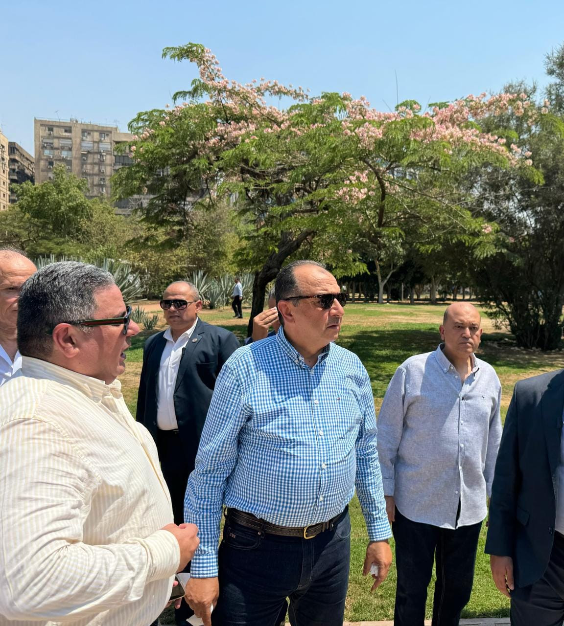 قطاع الاعمال