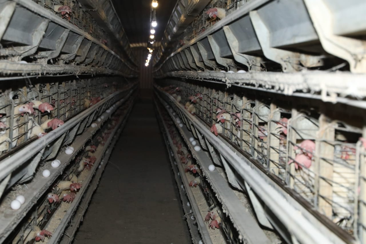 وزير الزراعة