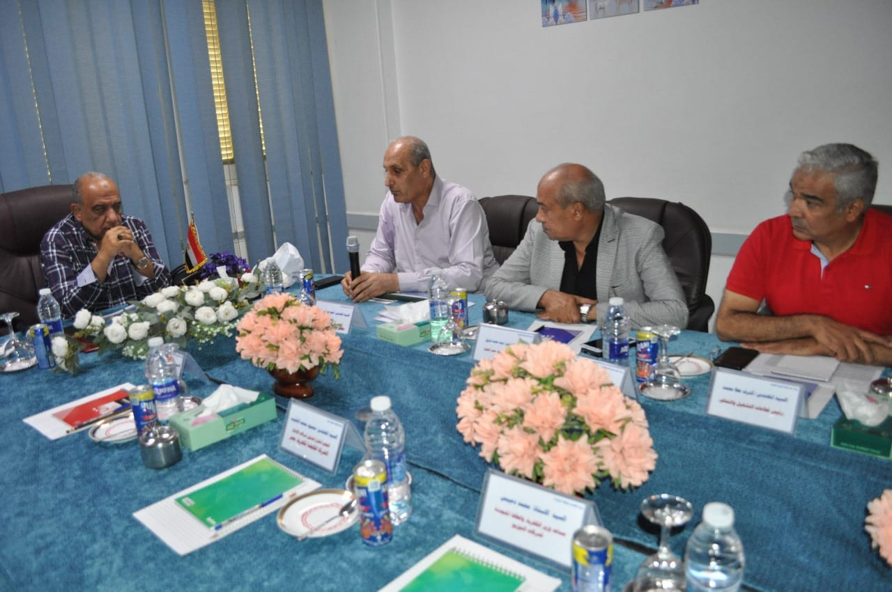 وزير الكهرباء