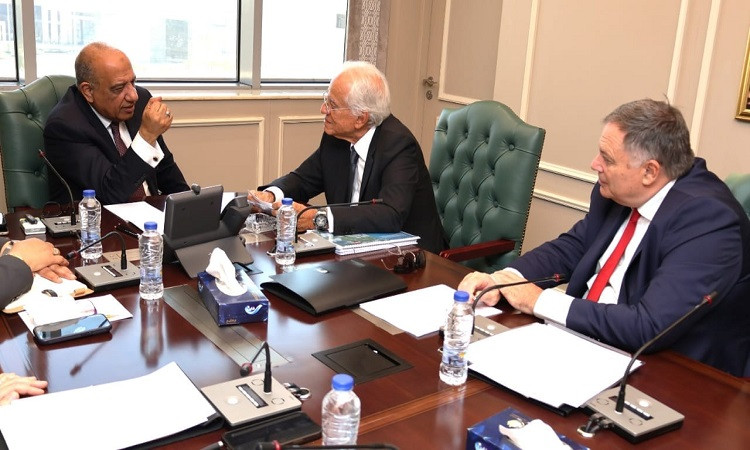 وزير الكهرباء