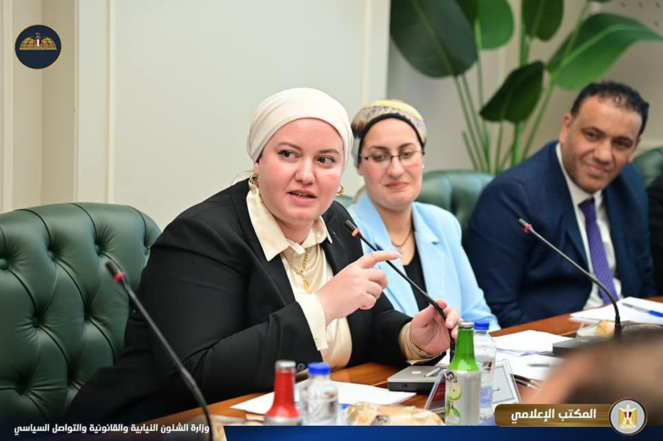 وزير الشئون النيابية واليوم العالمي للشباب