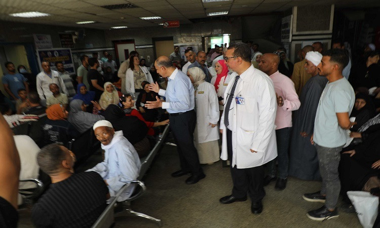 محافظ المنيا