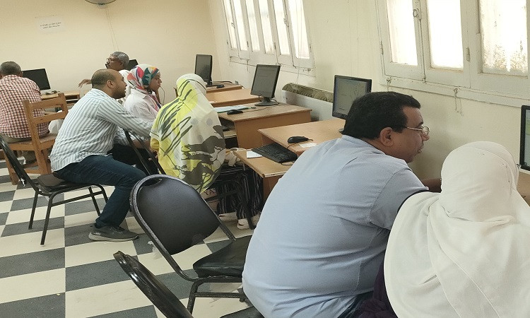 معامل التنسيق الإلكتروني