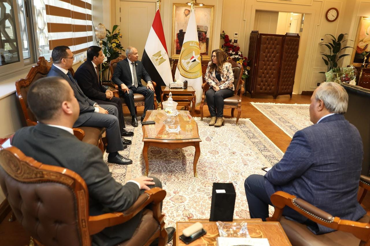 التنمية المحلية