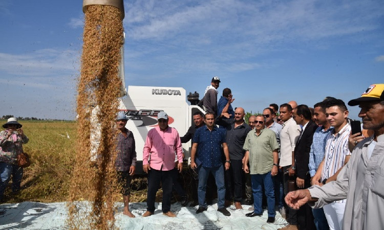 محافظ بورسعيد