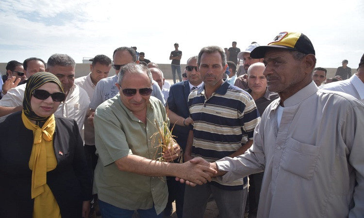 محافظ بورسعيد