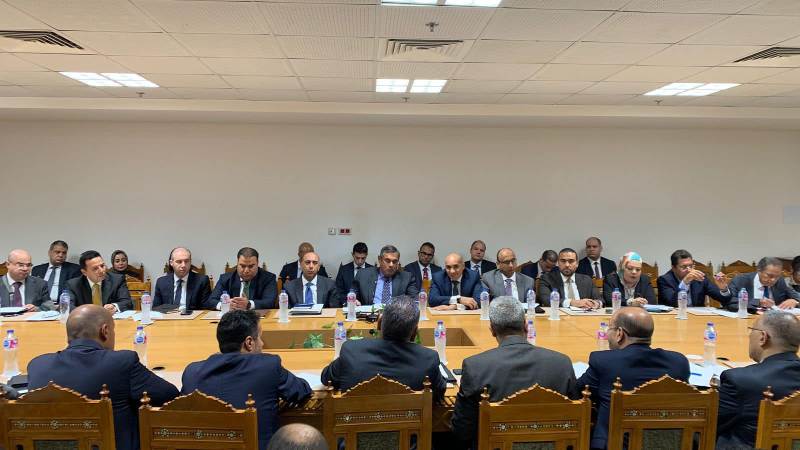 اللجنة المصرية الإفريقية