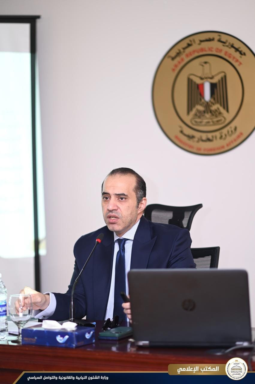 المستشار محمود فوزي