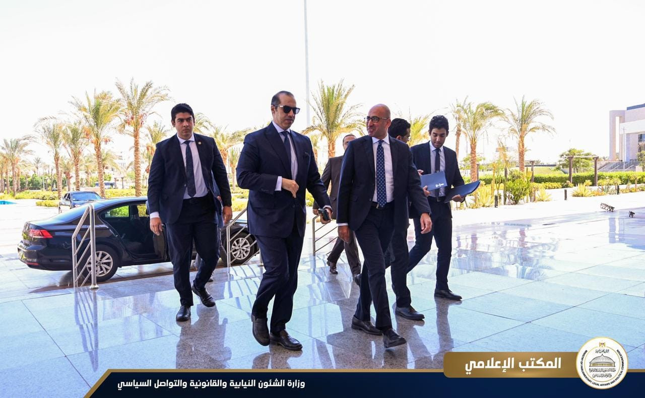 المستشار محمود فوزي