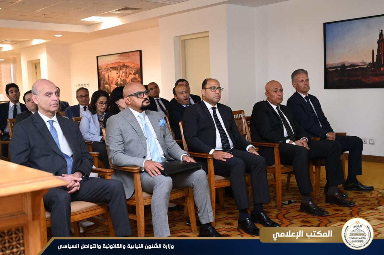 المستشار محمود فوزي