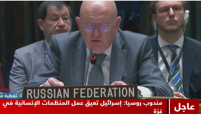 مندوب روسيا في مجلس الأمن