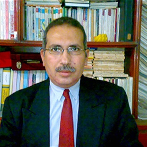 د.عادل عامر