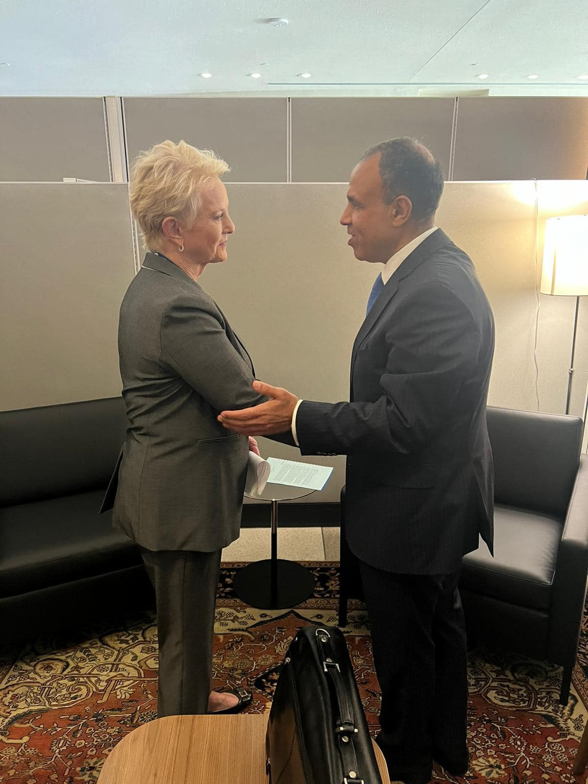 وزير الخارجية