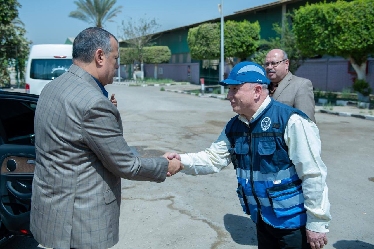 الانتاج