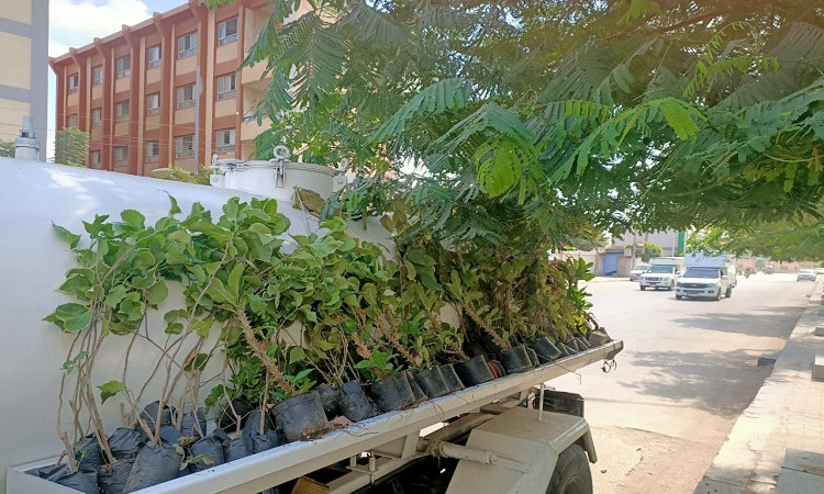 محافظ الغربية:عروس الدلتا