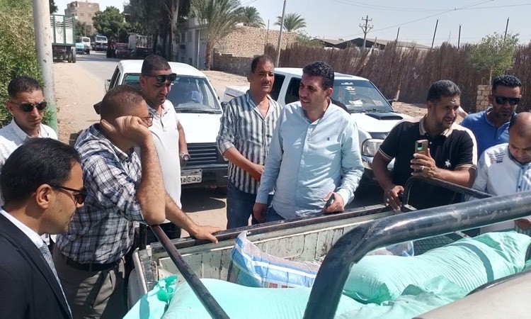 محافظ المنيا2