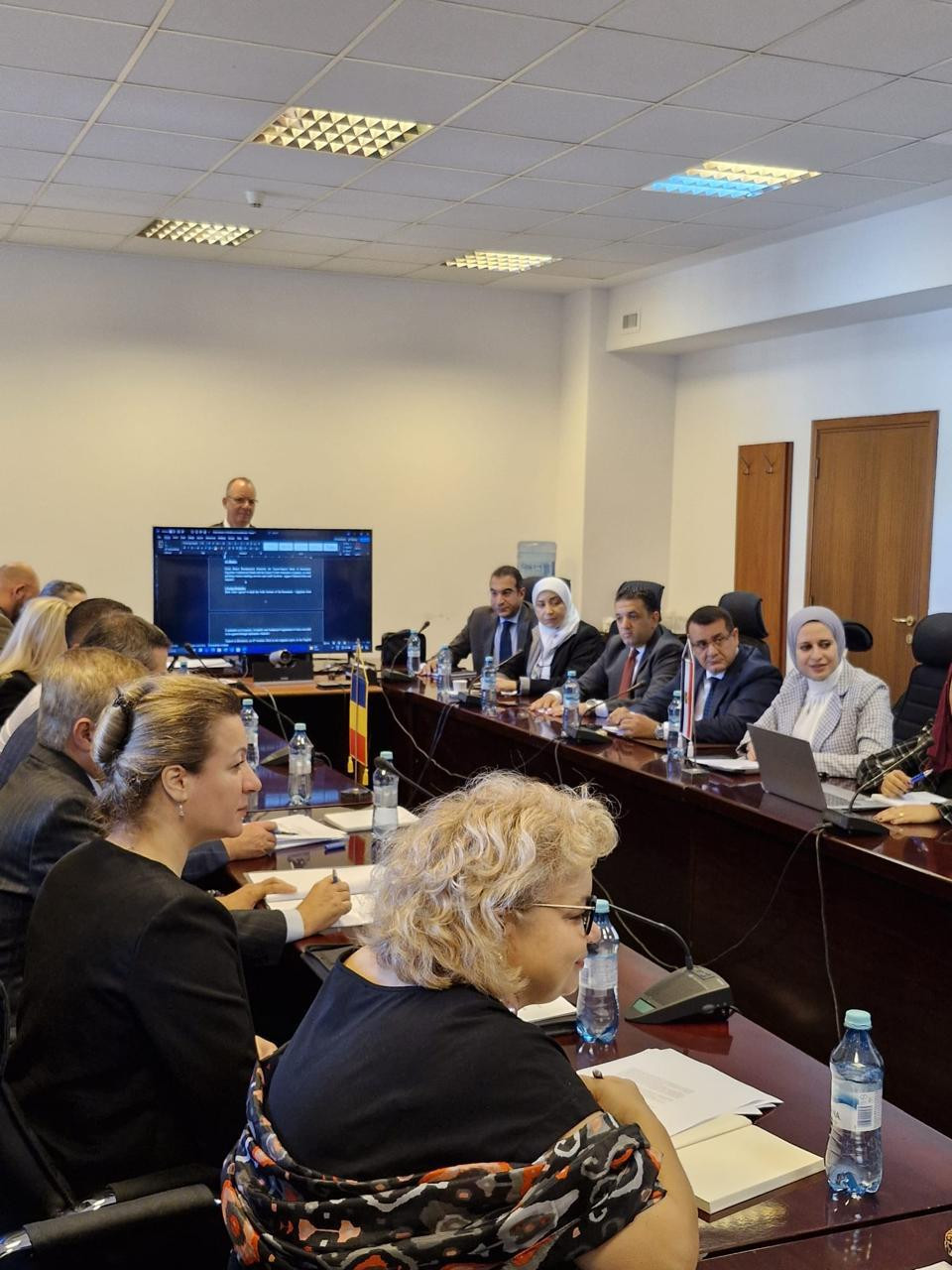 اللجنة المصرية الرومانية