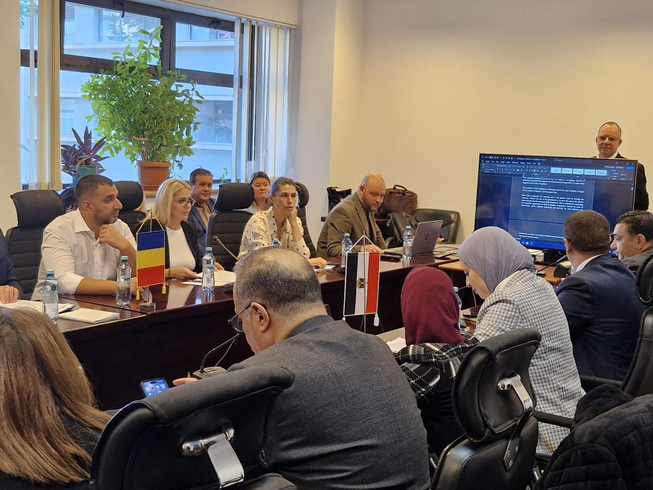 اللجنة المصرية الرومانية