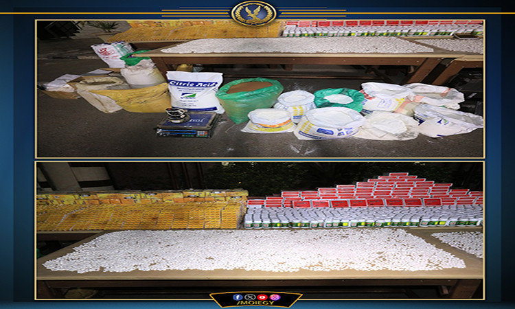 ضبط تشكيل عصابي