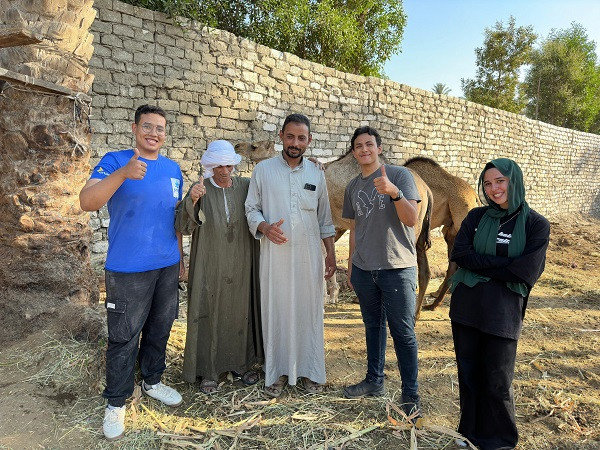 جامعة حلوان