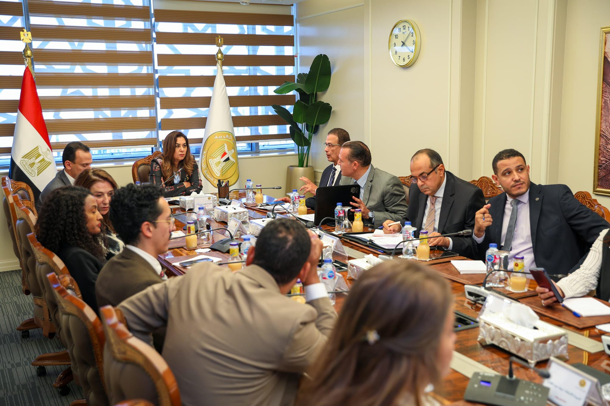 التنمية المحلية