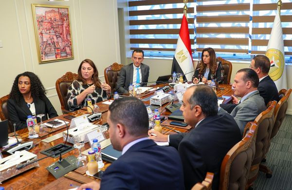 التنمية المحلية