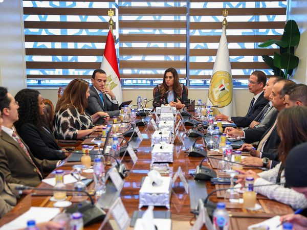 التنمية المحلية