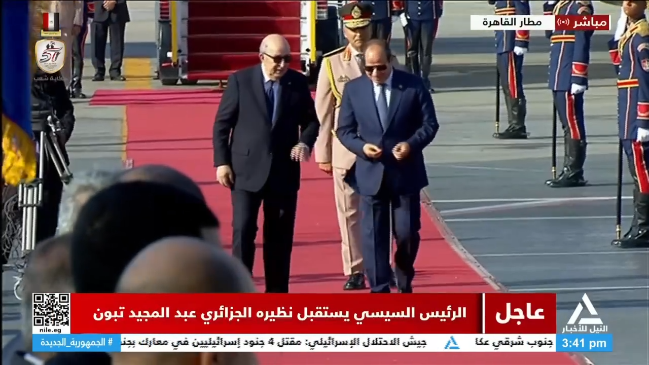 الرئيس السيسي ونظيره الجزائري