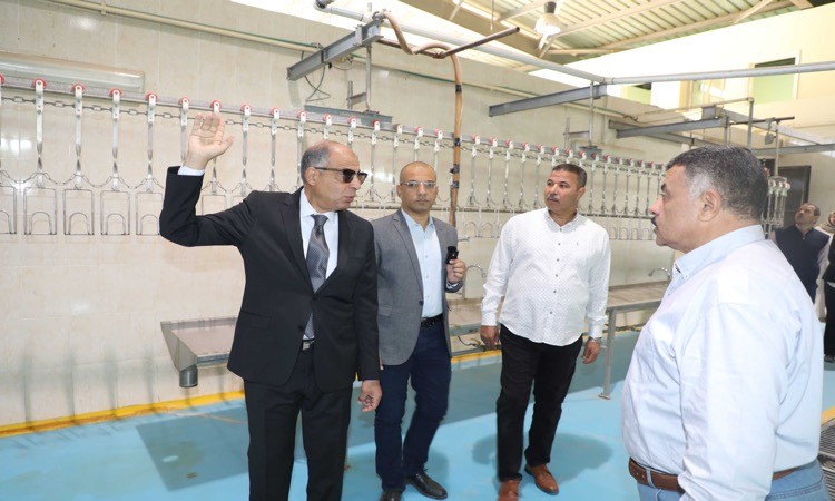 محافظ المنيا يتفقد مشروع تسمين الدواجن والمجزر الآلي بالمنطقة الصناعية