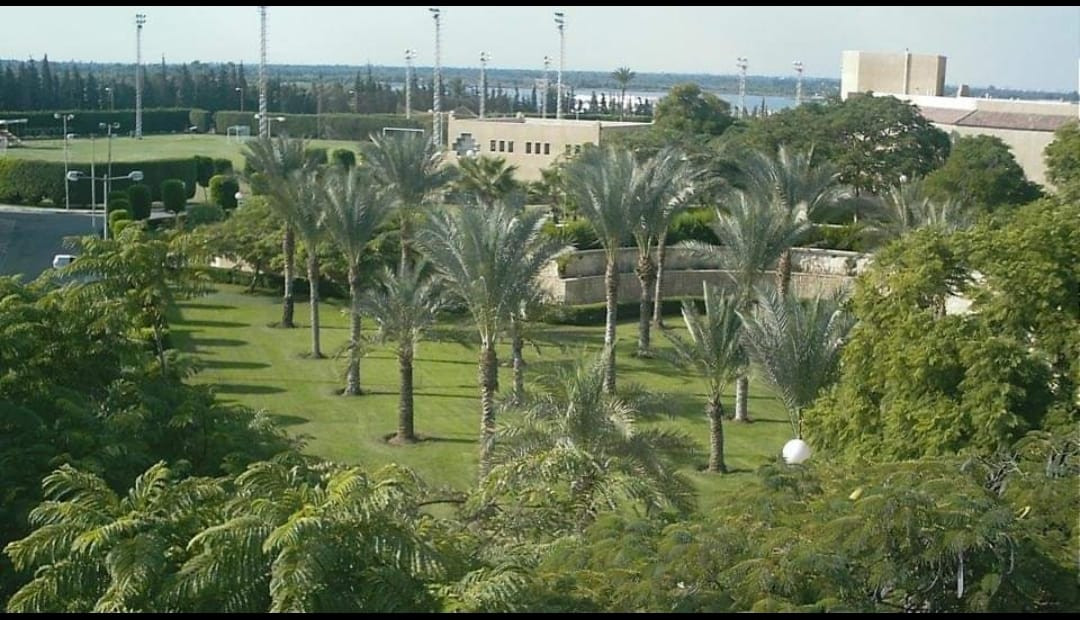 القرية الاوليمبية بالاسماعيلية