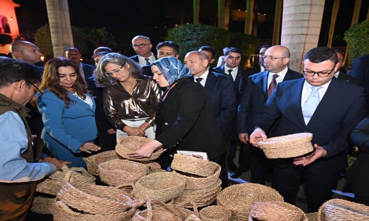 محافظ القاهرة