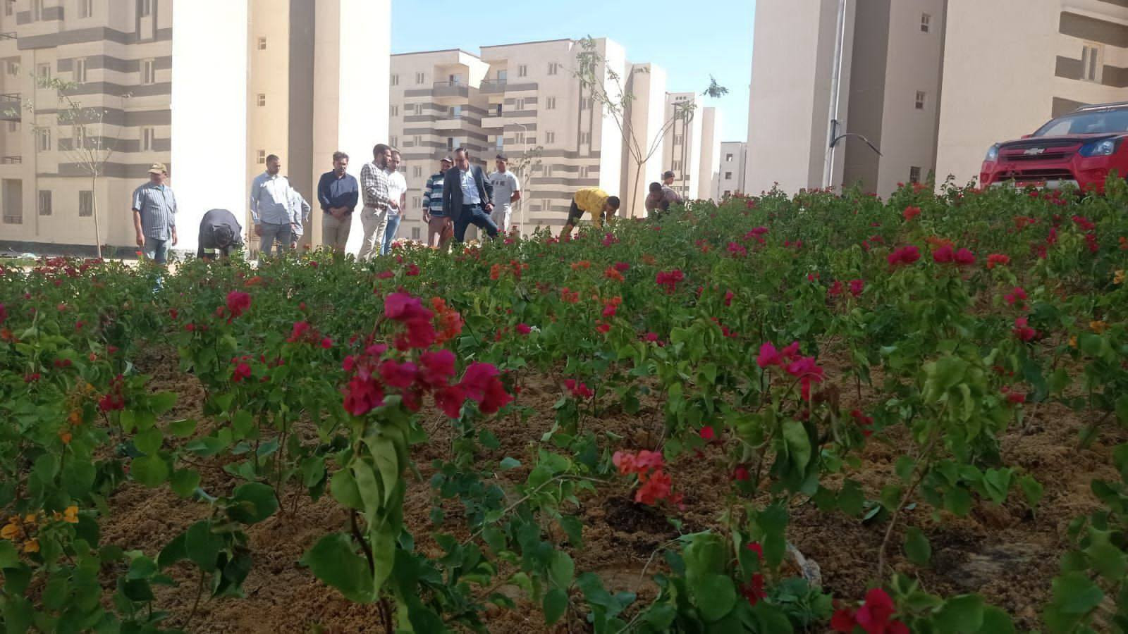 صور الاسكان