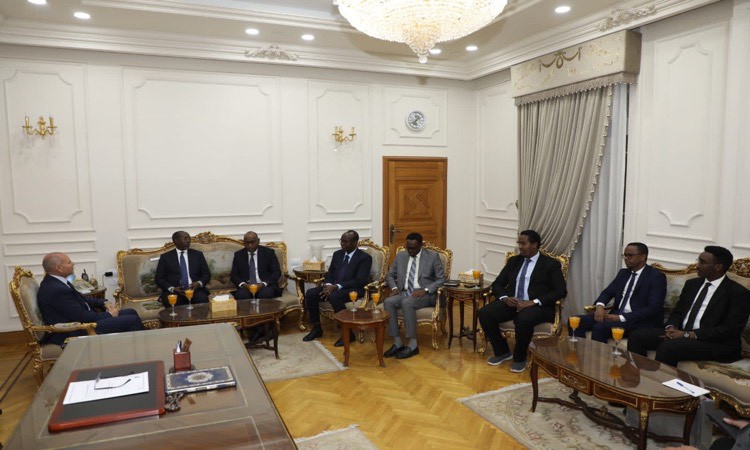 محافظ القاهرة يستقبل نظيره الصومالي لبحث سبل التعاون