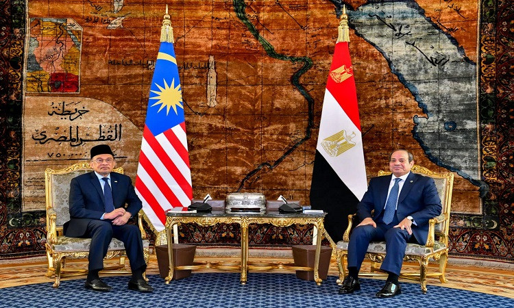السيسي