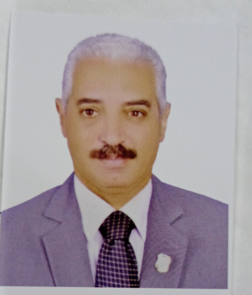 المستشار محمد عبد الفتاح