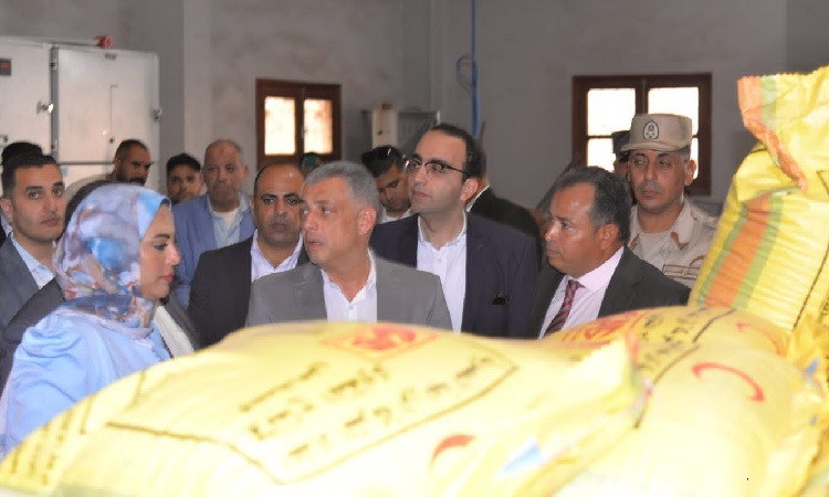 محافظ الإسماعيلية يتفقد الصوامع المعدنية بالقنطرة شرق