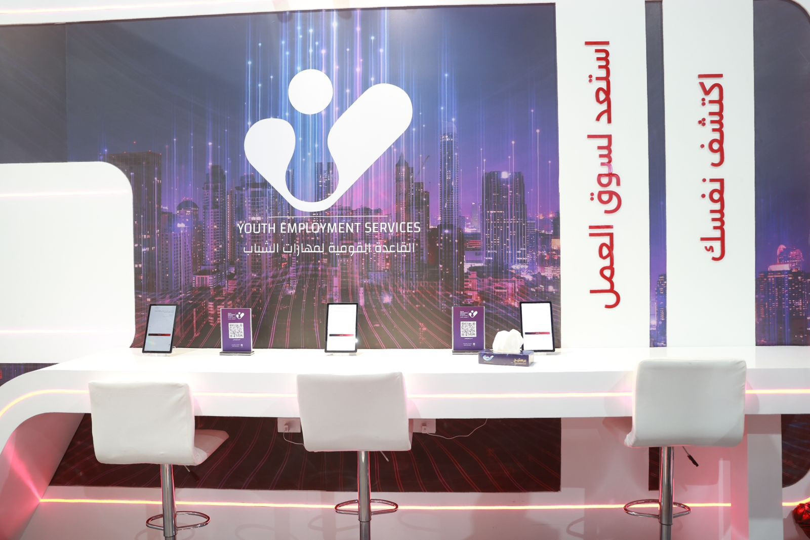 نموذج المحاكاة